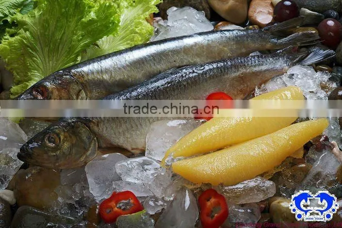 seafood frozen dried herring fillet