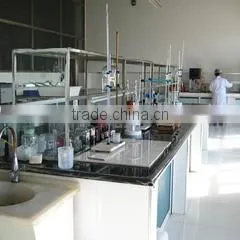 Dingtao Yongxing Food Co., Ltd. company overview - view 4