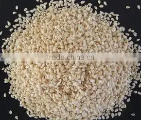 Sesame roasting machine|Sesame frying machine|Black sesame roasting machine|Sesame roaster