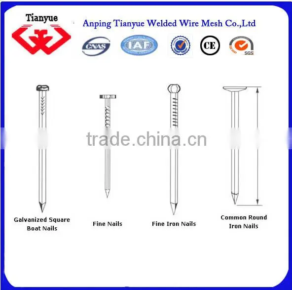 stainless steel nails manufacturer(15 years export experience)