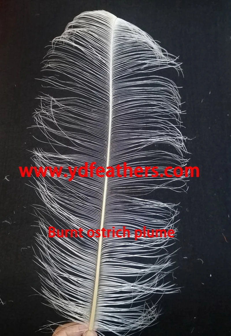 Changshu Bixi Electrostatic Coating Equipment Factory company overview - view 3