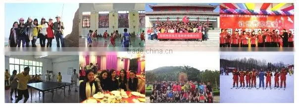 Aluminum Products Promotion Export Metal Craft Good Aluminum Die Casting Mould