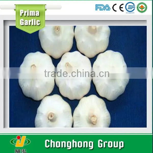 hot sale 2015 high quality fresh garlic