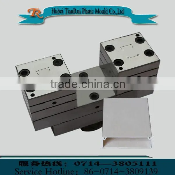 UPVC Extrusion Wire Duct Mould
