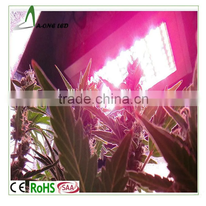 High power led grow light apollo series plant lights 100W bulk buy from China
