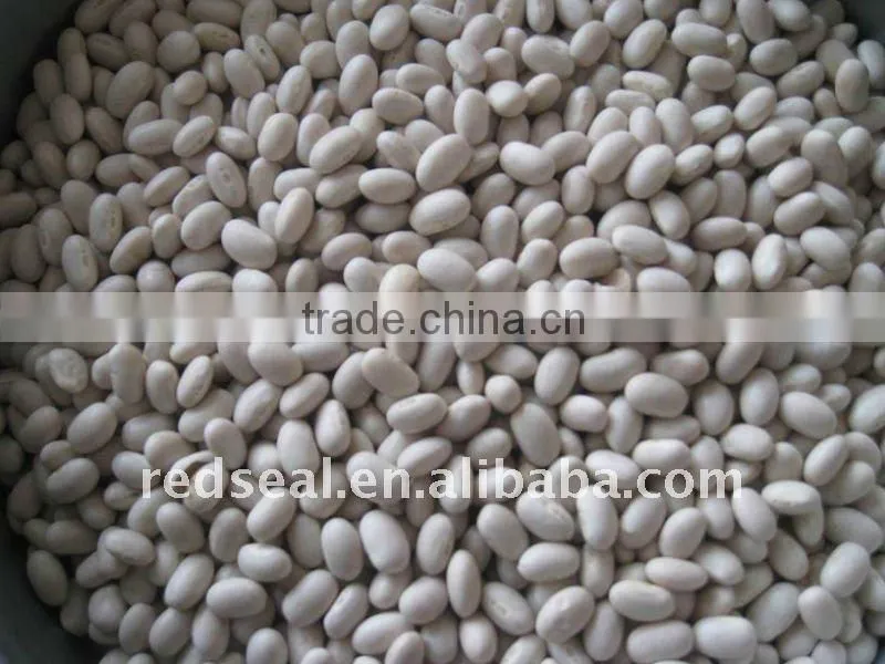 medium white kidney beans