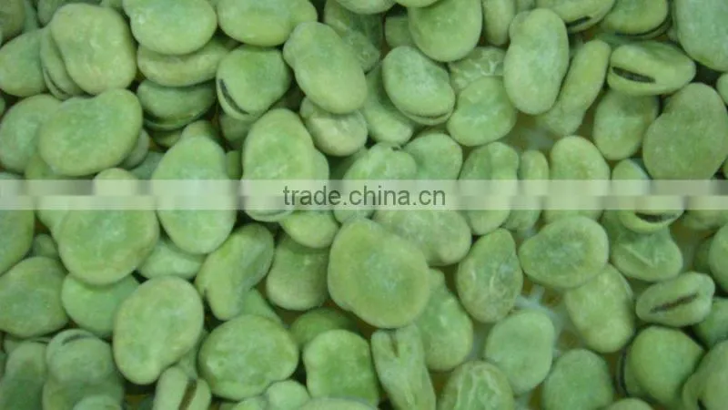 IQF frozen broad beans with best quality and hot price