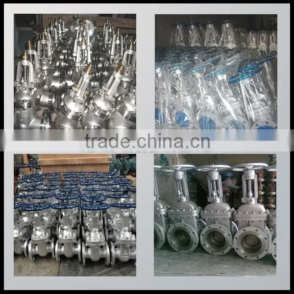 Z944T/W - 10/10Q Motorized parallel double disc gate valve