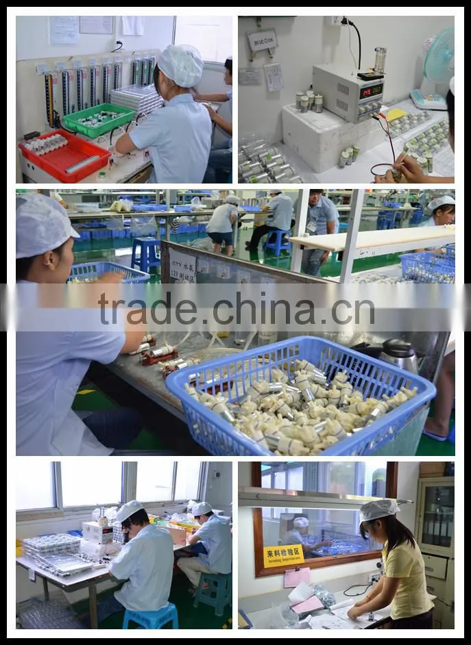 mini Water pump for water dispenser FDA PUMP