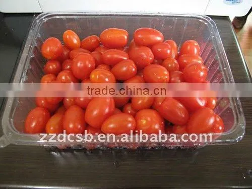 PET clear plastic frozen food tray