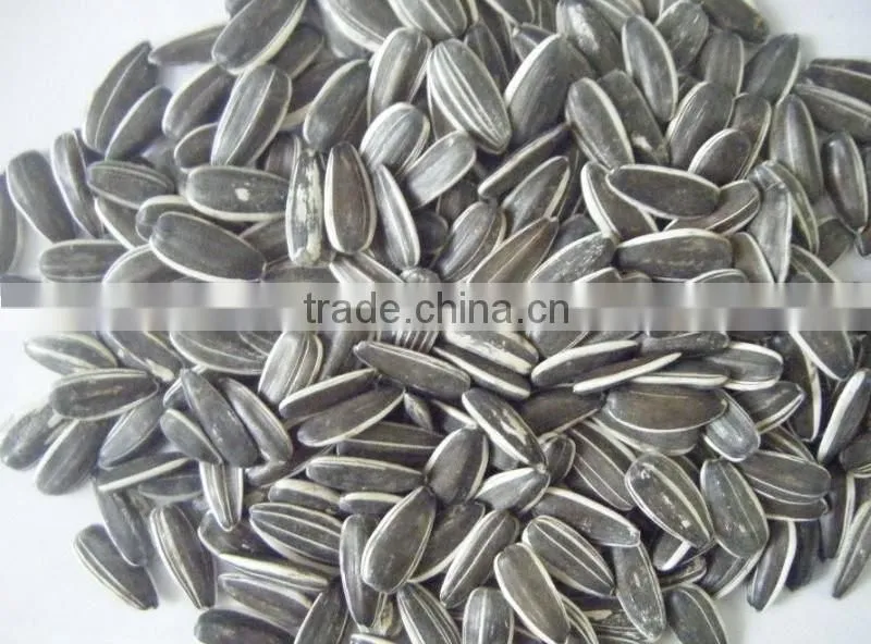 Raw sunflower seeds 0409 stye