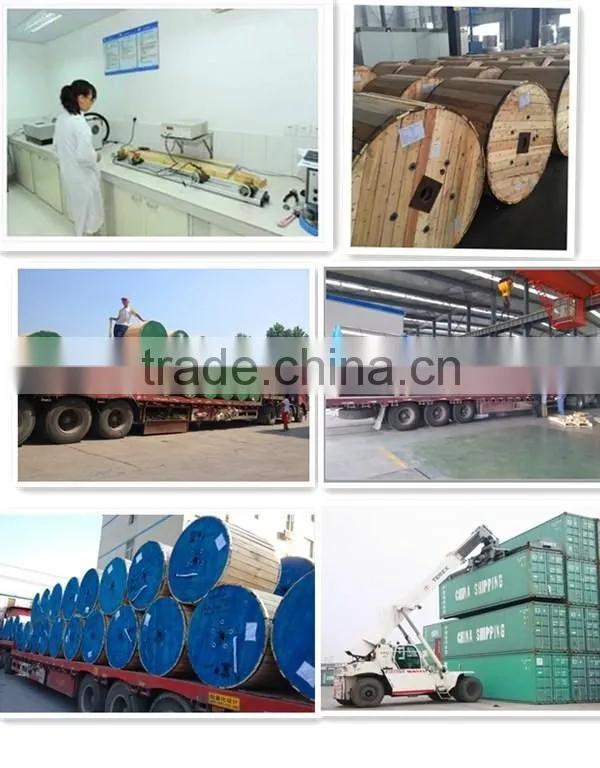 Dedicated manufacturer of 16 Cores 1mm2 2.5mm2 4mm2 Flexible PVC Control Cable