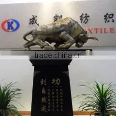 Shaoxing County Chengkai Textile Co., Ltd. company overview - view 1