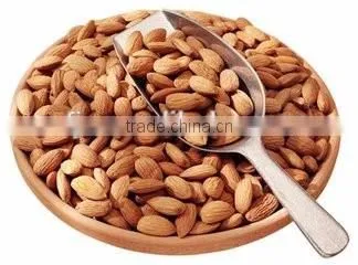 Nut apricot almond husk shell kernel separator separating machine(whatsapp:13782789572)