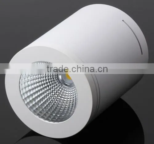 12W LED COB Surface Mounted Downlight IP44