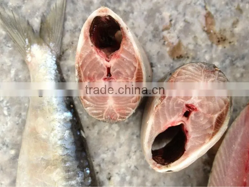 For bait fish whole round frozen sardines 8-10pcs/kg