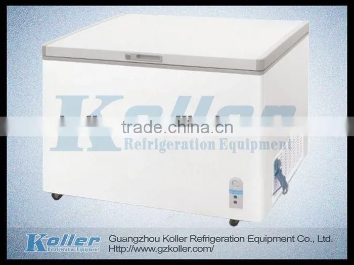550L Double Doors Chest Deep Freezer BD-550