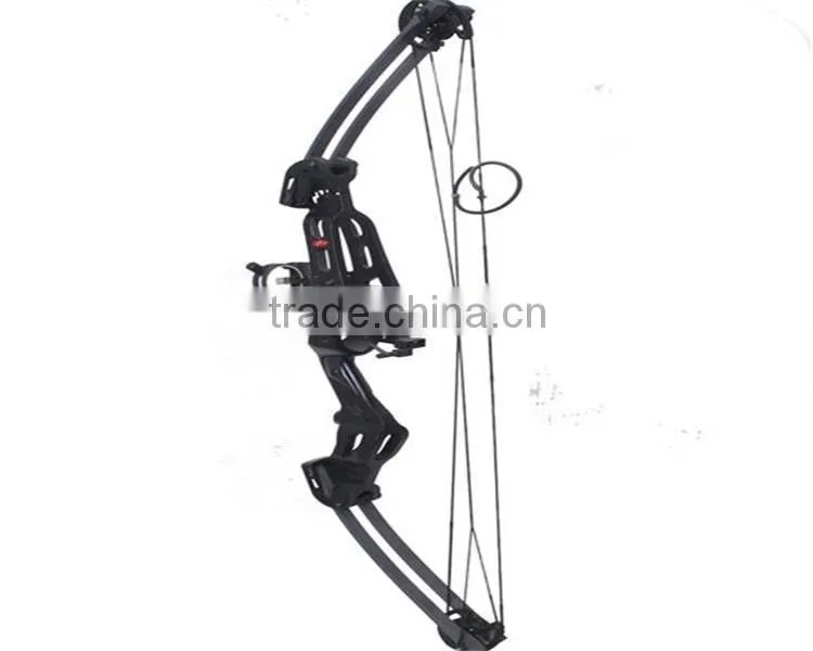 China Hot Sale Compound Bow M-10004 for Hunting