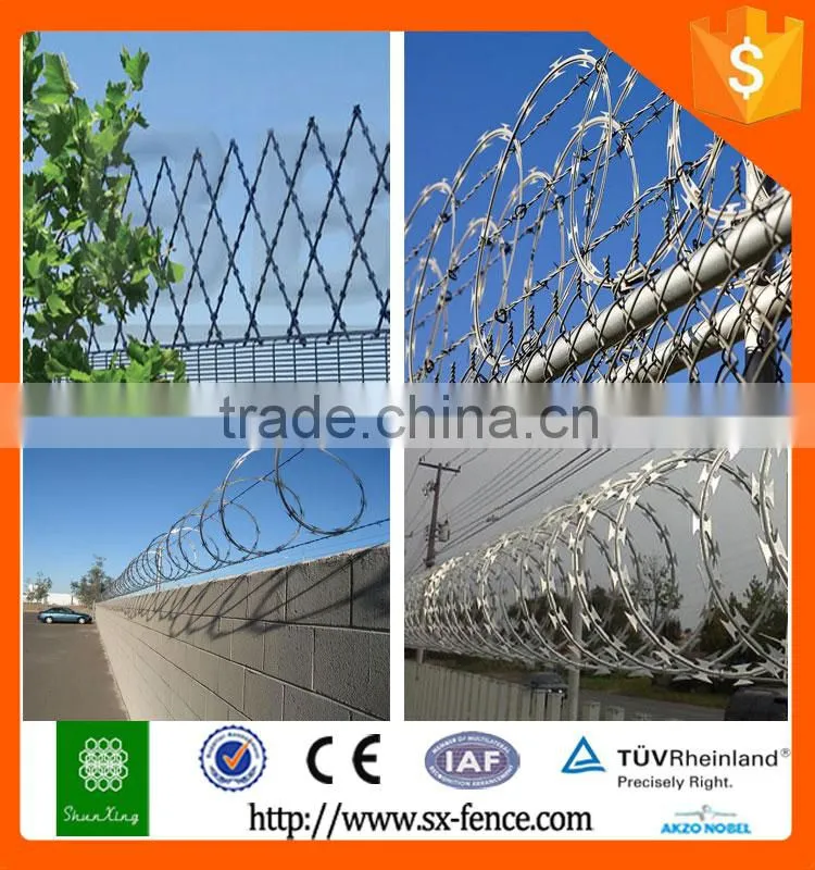 Alibaba diamond razor wire mesh fence/welded wire mesh fencing/pvc coated razor barbed wire