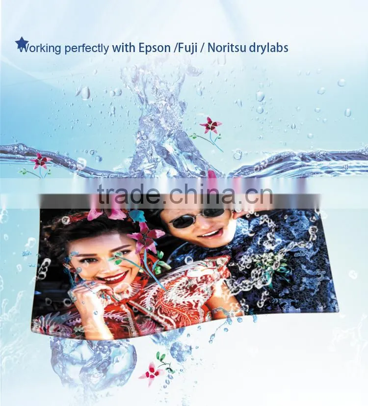 Drylab photo paper,8"x100m for Epson D3000