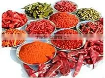 Sweet paprika powder