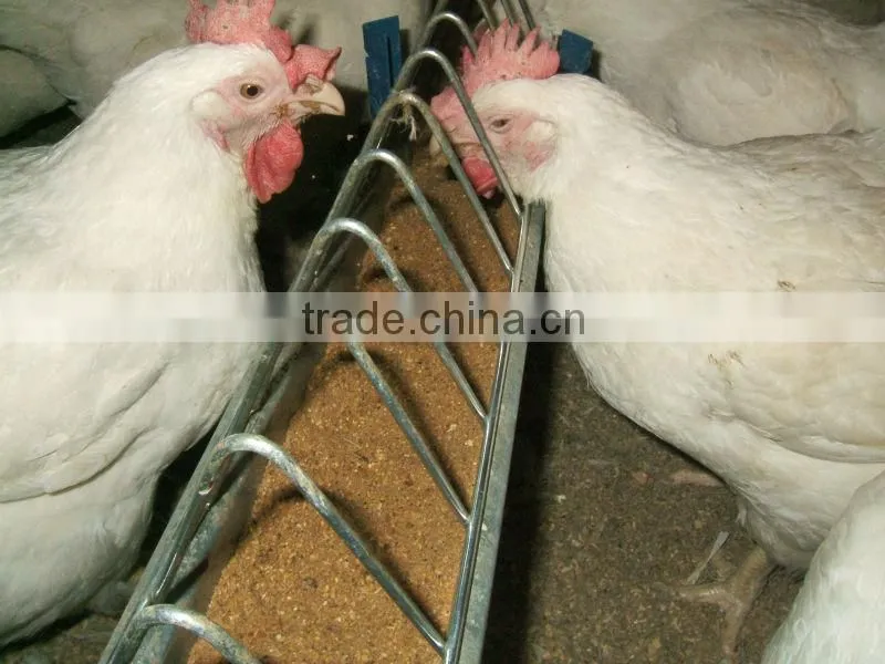 Feed grill
