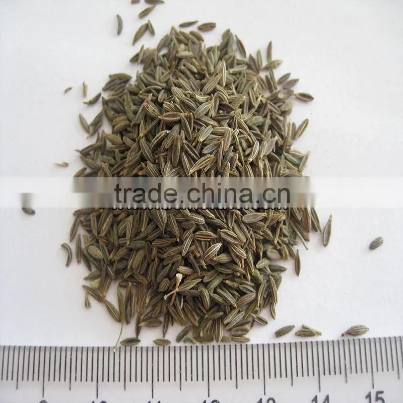 Chinese Black Cumin Seeds