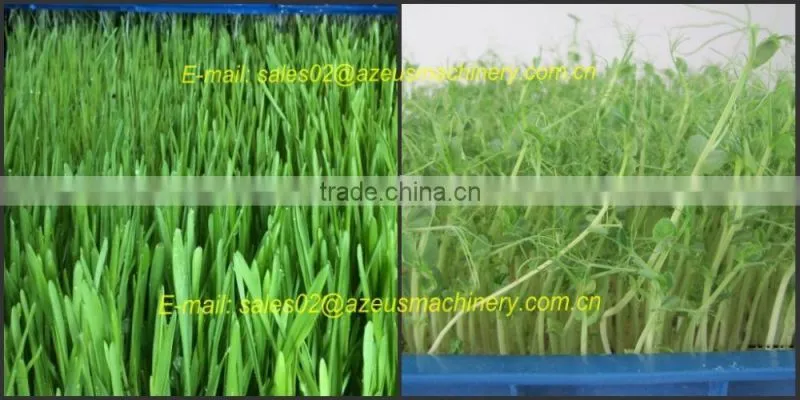 Automatic hydroponic barley grass fodder planting Machine for animal,livestock,cattle,sheep