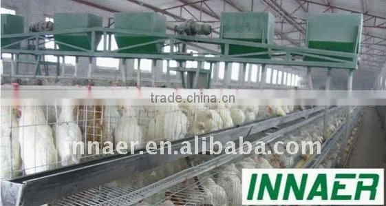 Poultry layers/broilers automatic feeding system