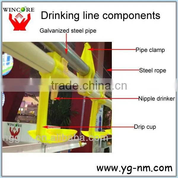 drinkers for chickens,automatic drinker for chicken
