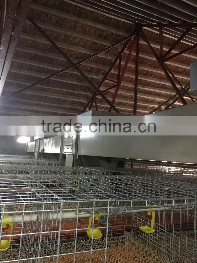 Proffesional Designedhot -drip Galvanized broiler chicken cage