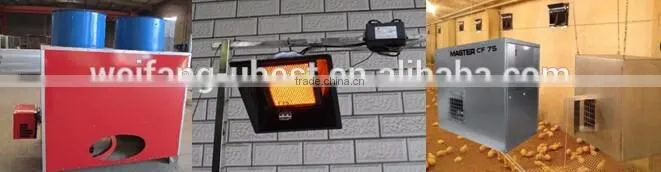 Full automatic africa farm poultry equipment for chickens