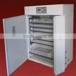 New style chicken Incubator