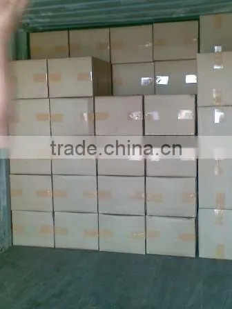 SPRAY DRIED INSTANT COFFEE POWDER