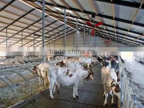 cow fan/hanging fan/dairy fan/dairy house fan/cow house fan