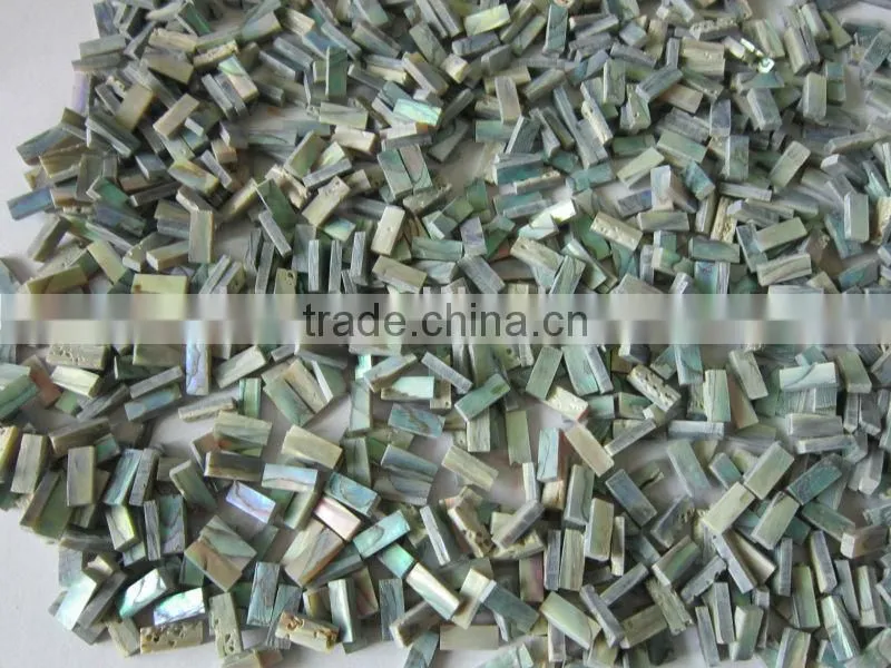square cut thick abalone paua shell blank inlays