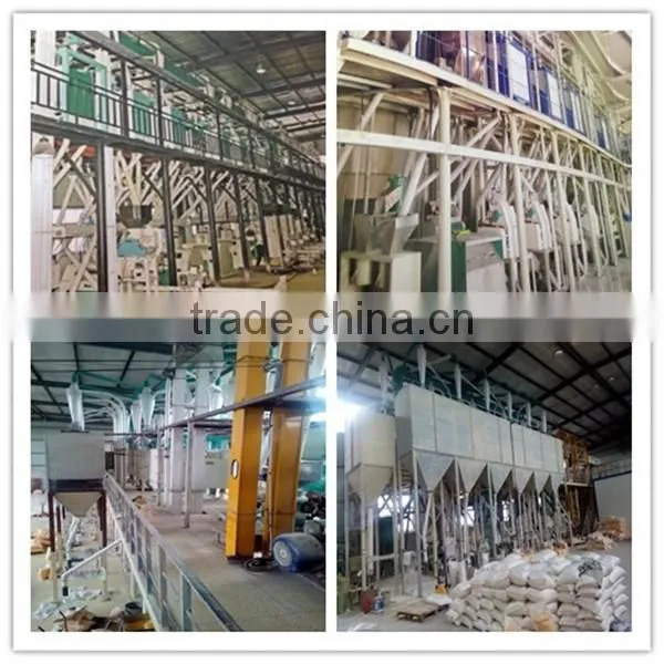 CE and ISO approval home use maize processing machinery