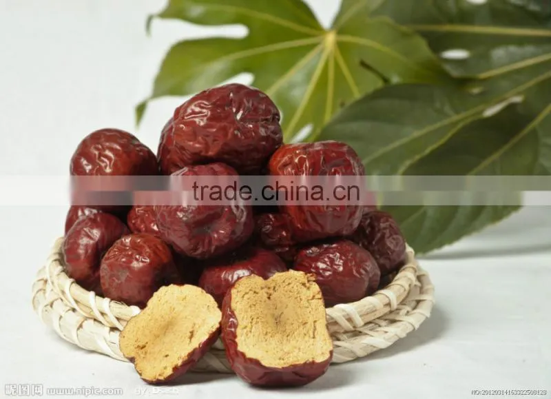 Red dates multiple layer stainless steel conveyor dryer