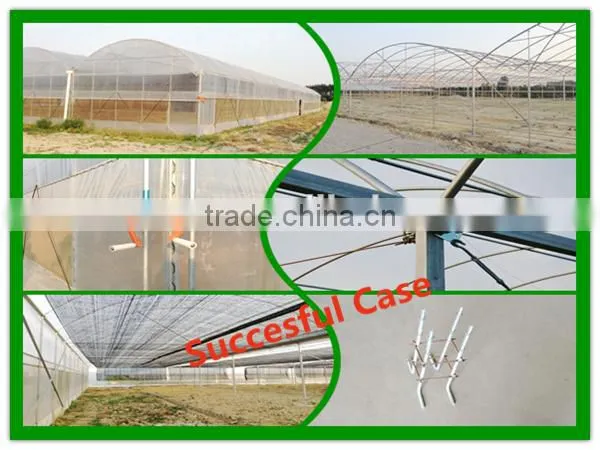 Holland bucket hydroponic system
