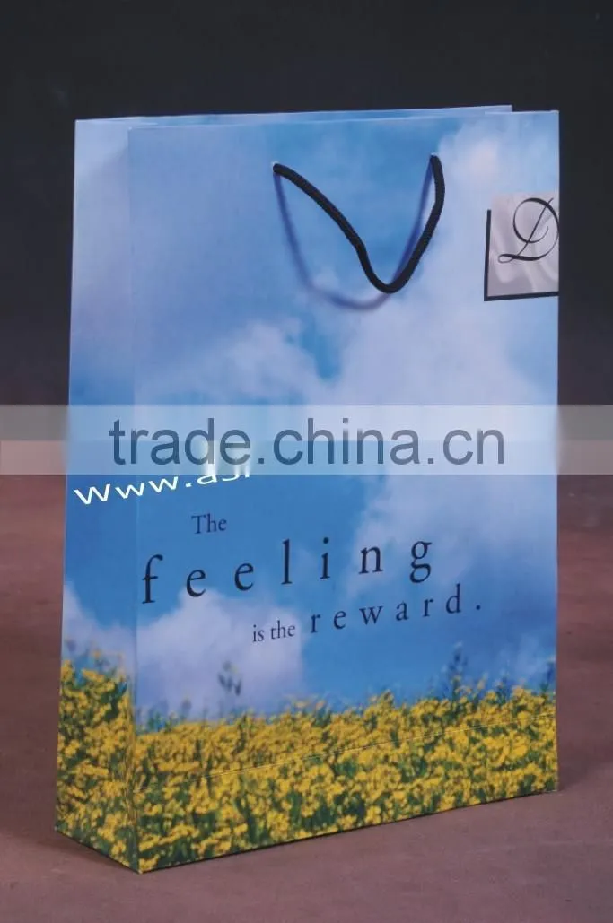 Paper Promotion Shopping Bags with Glossy / Matte Finish