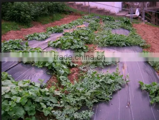 Woven Polypropylene Mats