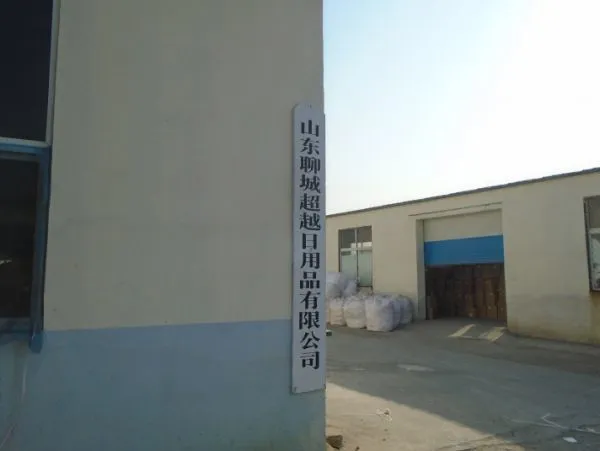Shandong Liaocheng Chaoyue Daily Necessities Co.,Ltd company overview - view 1