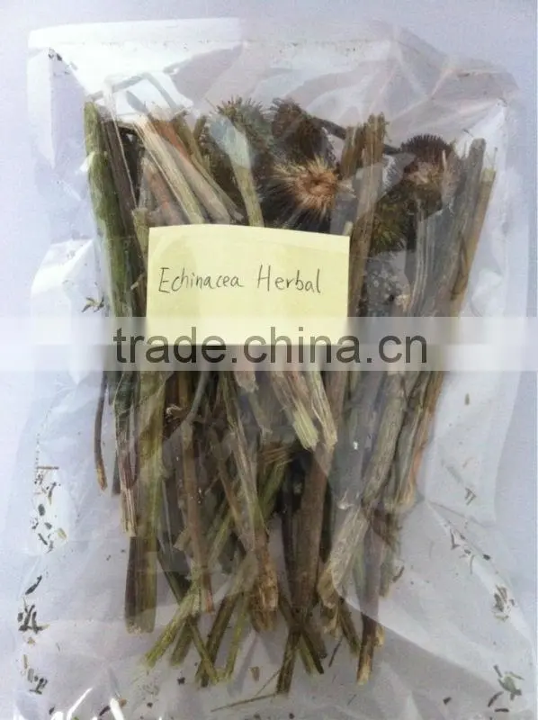 2016 Echinacea root