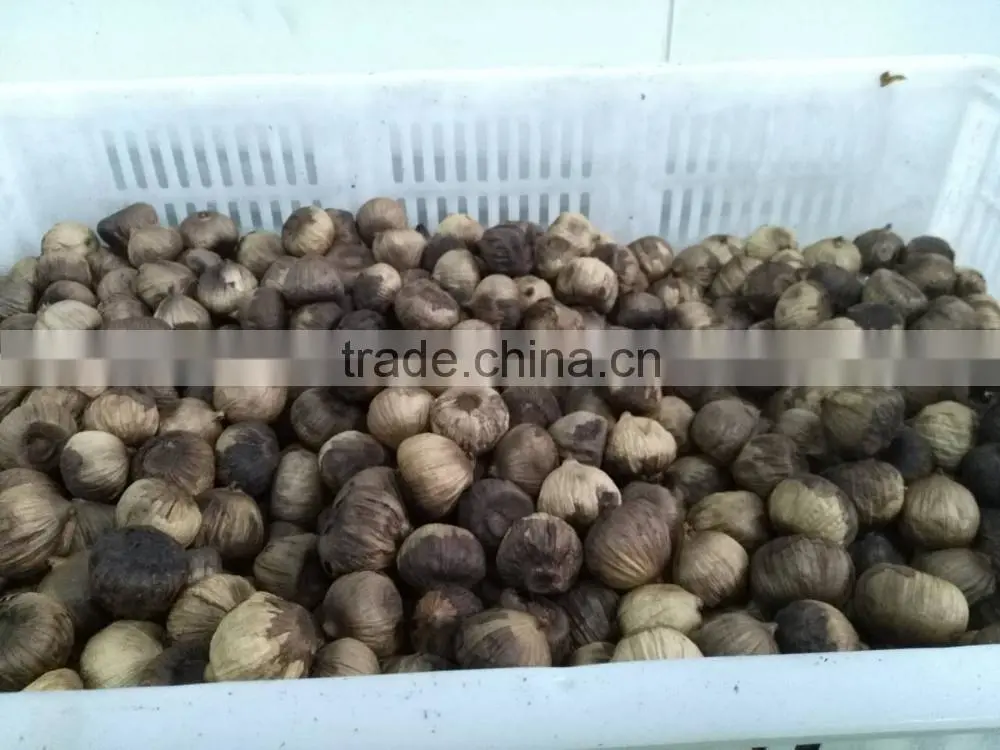 new product black garlic