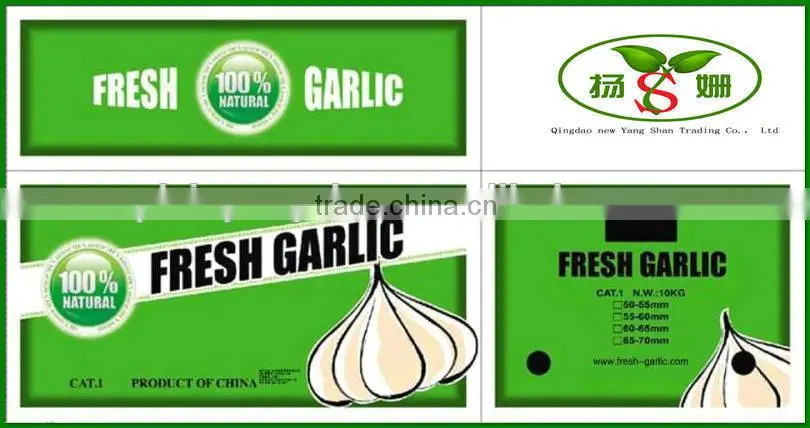 2015 cang shan 4-6 clove garlic(The best quality)