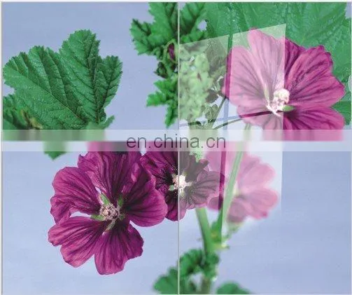 HOT SALE 1.0 MM 1.5MM 1.6MM 1.7MM THIN THICKNESS GLASS SHEET PRICE M2