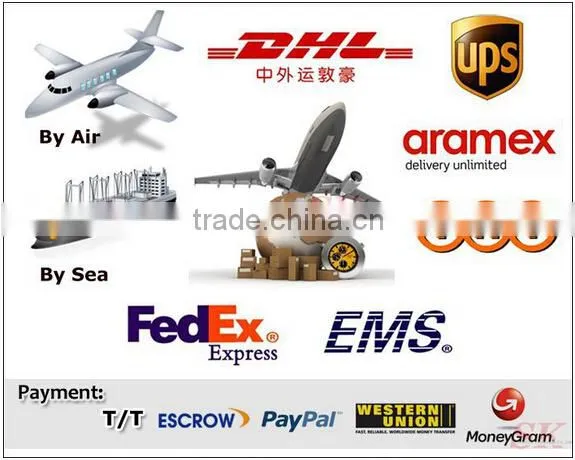 4.0 MP H.264/H.265 HD 1520P Waterproof Bullet PTZ IP Camera Fiexed Lens 12mm