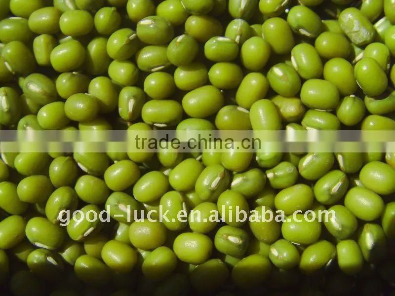 2011 new crop mung bean