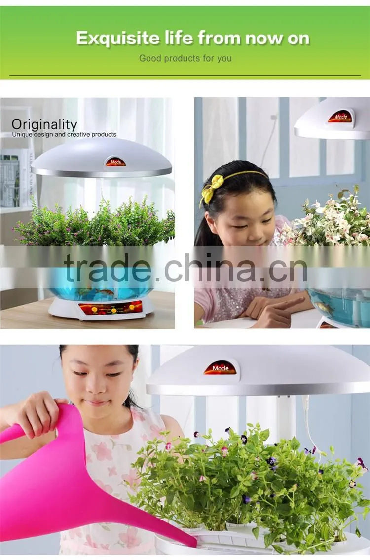 grow expand water toys