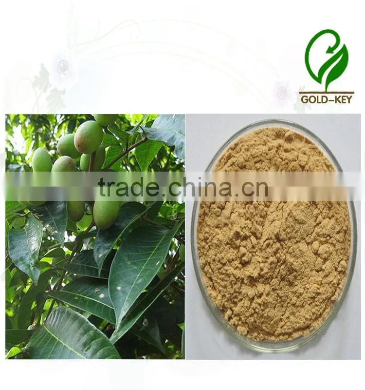 100% Natural Olive Leaf Extract Powder in Bulk